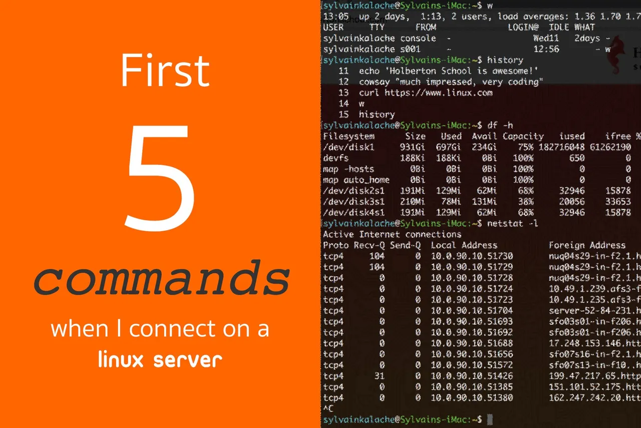 First 5 commands when I connect on a Linux server